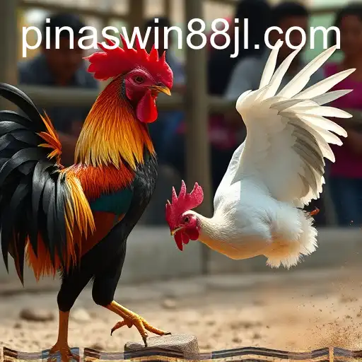 Exploring the Digital Revolution of Sabong Games through PINASWIN88